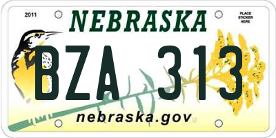 NE license plate BZA313