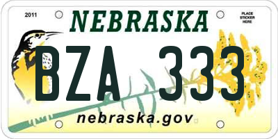 NE license plate BZA333