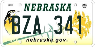 NE license plate BZA341