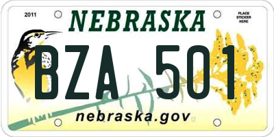 NE license plate BZA501