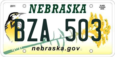 NE license plate BZA503