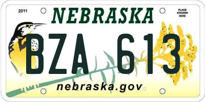 NE license plate BZA613