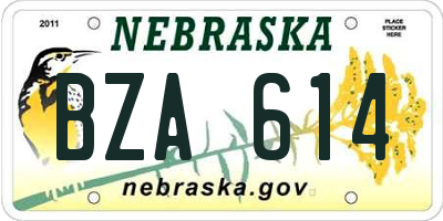 NE license plate BZA614