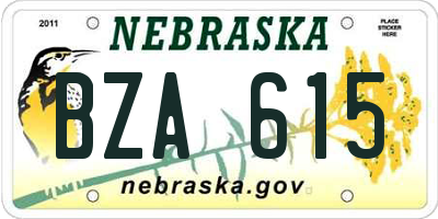 NE license plate BZA615