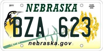 NE license plate BZA623