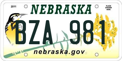NE license plate BZA981