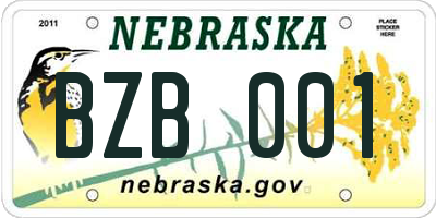NE license plate BZB001
