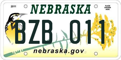 NE license plate BZB011