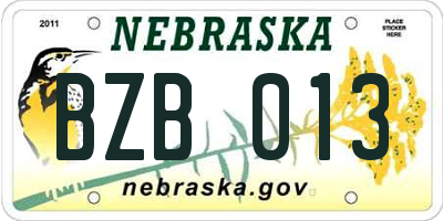 NE license plate BZB013