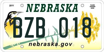 NE license plate BZB018