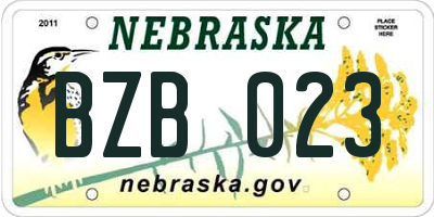 NE license plate BZB023