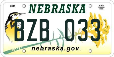 NE license plate BZB033