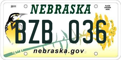 NE license plate BZB036