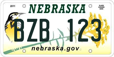 NE license plate BZB123