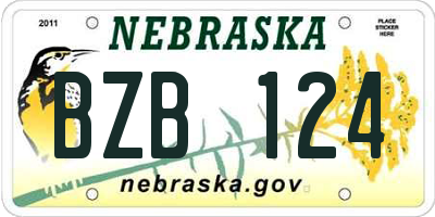 NE license plate BZB124
