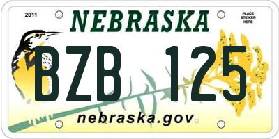 NE license plate BZB125