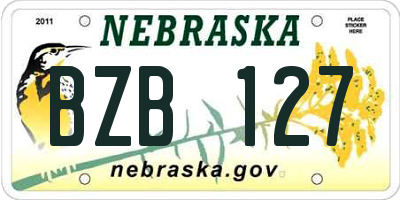 NE license plate BZB127