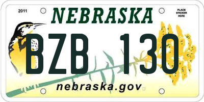 NE license plate BZB130