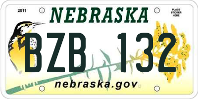NE license plate BZB132