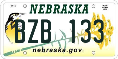 NE license plate BZB133