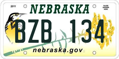 NE license plate BZB134