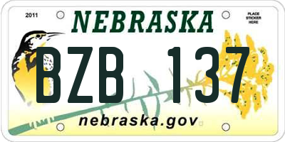 NE license plate BZB137