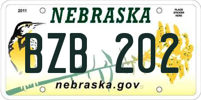 NE license plate BZB202