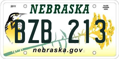 NE license plate BZB213