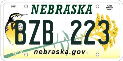 NE license plate BZB223