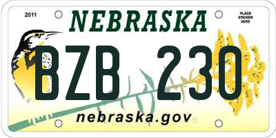 NE license plate BZB230