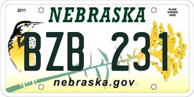 NE license plate BZB231