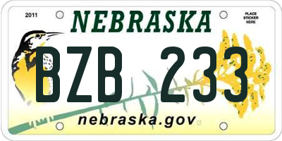 NE license plate BZB233