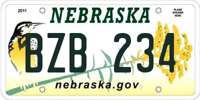 NE license plate BZB234