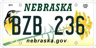 NE license plate BZB236