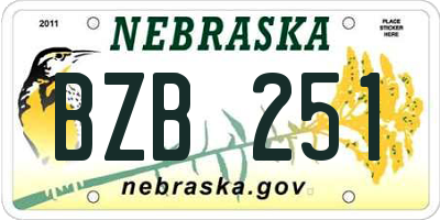 NE license plate BZB251