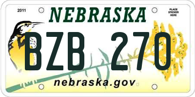 NE license plate BZB270