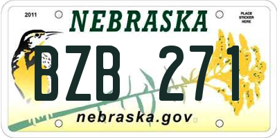 NE license plate BZB271