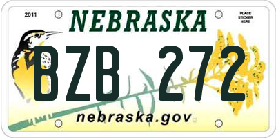 NE license plate BZB272
