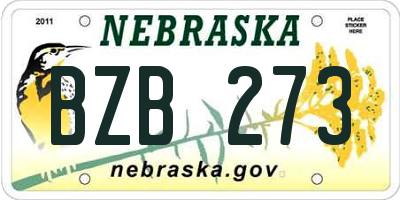 NE license plate BZB273