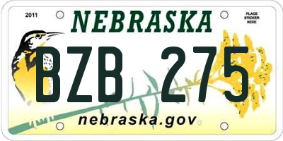 NE license plate BZB275