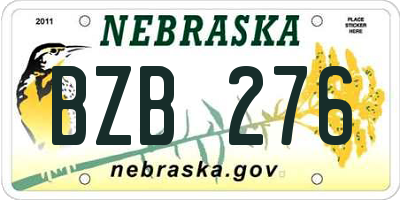 NE license plate BZB276