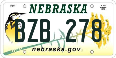 NE license plate BZB278