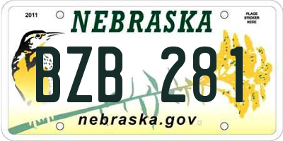 NE license plate BZB281