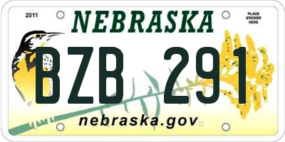 NE license plate BZB291