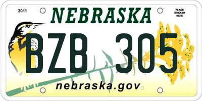 NE license plate BZB305
