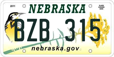NE license plate BZB315