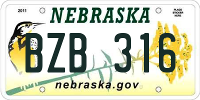NE license plate BZB316