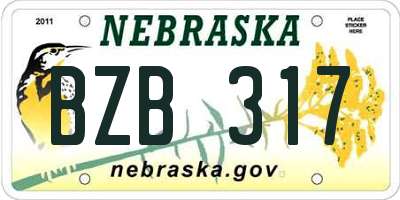 NE license plate BZB317