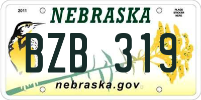 NE license plate BZB319