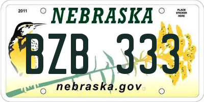 NE license plate BZB333